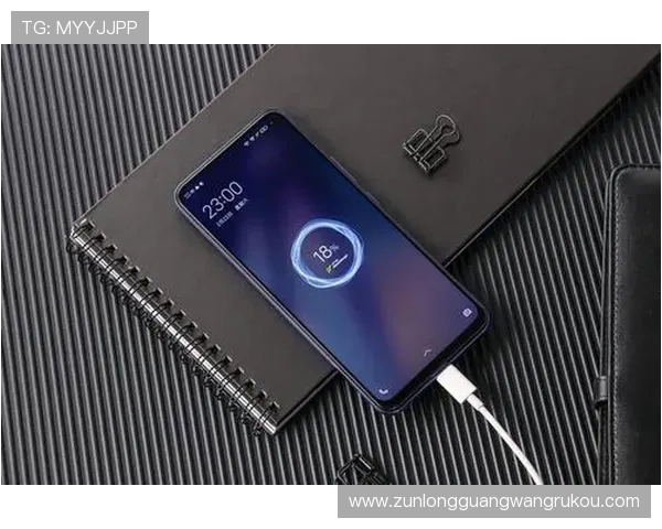 Z6尊龙电子游戏平台最新上线多款热门游戏，满足不同玩家的多样需求