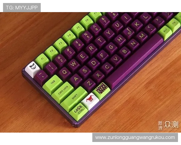 尊龙电游官网最新登录入口，安全稳定保障玩家体验