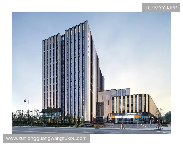 提升尊龙凯时平台登陆安全性的有效措施介绍