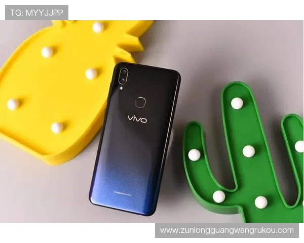 Z6尊龙娱乐官网入口官方最新入口地址，确保玩家顺利进入游戏体验