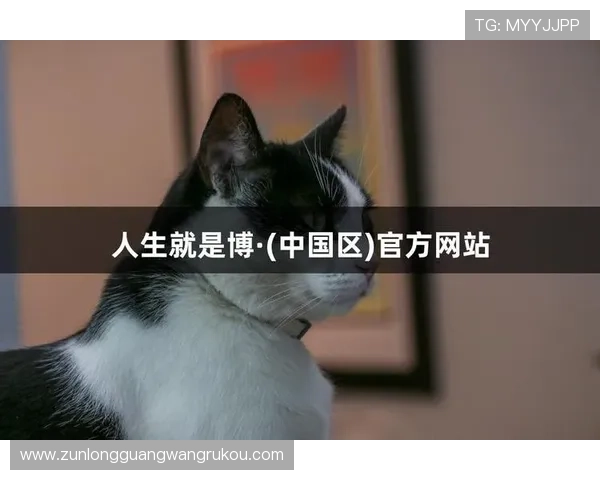 凯时人生就是博怎么样值得信赖吗，玩家真实体验分享与评价分析