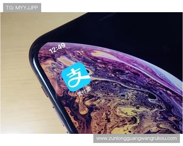 尊龙凯时手机版会员登录安全保障措施提升账号安全防止账号被盗