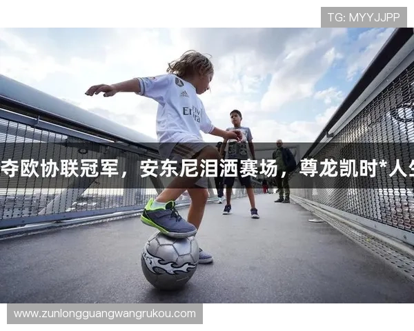 尊龙凯时电竞用户评价与反馈汇总帮助新手玩家快速融入电竞社区