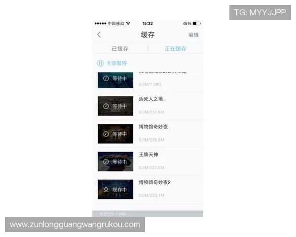 通过尊龙官网app，体验独特的会员特权与精彩活动
