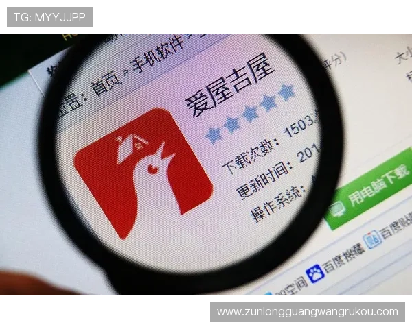 尊龙app官网下载官方正版，确保游戏安全与稳定运行